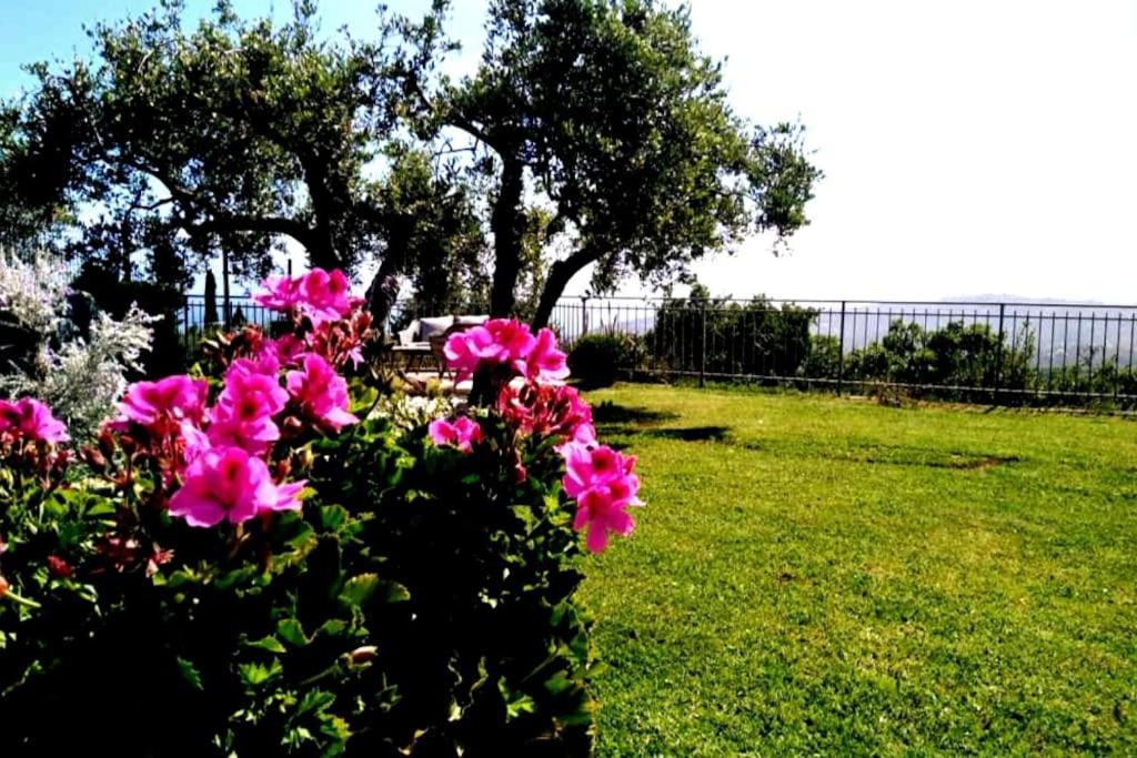 Casa Vista Mare - Superb Garden And Parking Included Villa Imperia Eksteriør bilde