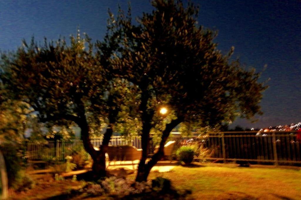 Casa Vista Mare - Superb Garden And Parking Included Villa Imperia Eksteriør bilde