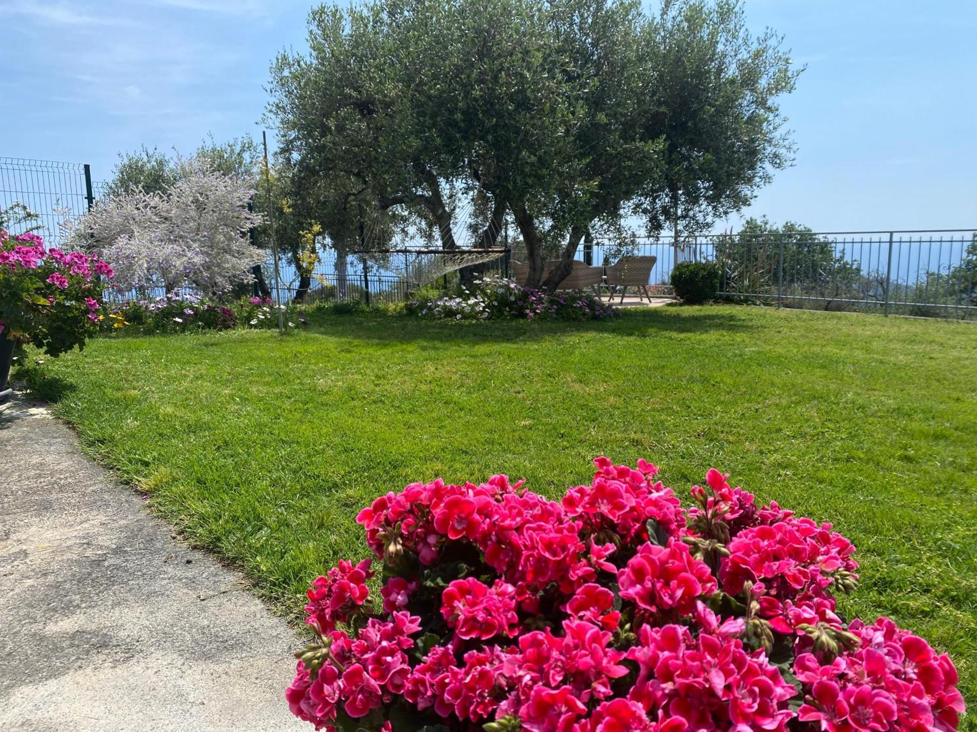 Casa Vista Mare - Superb Garden And Parking Included Villa Imperia Eksteriør bilde